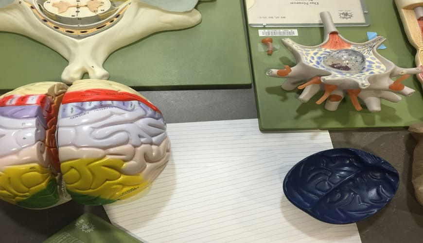 class 10 online tuition